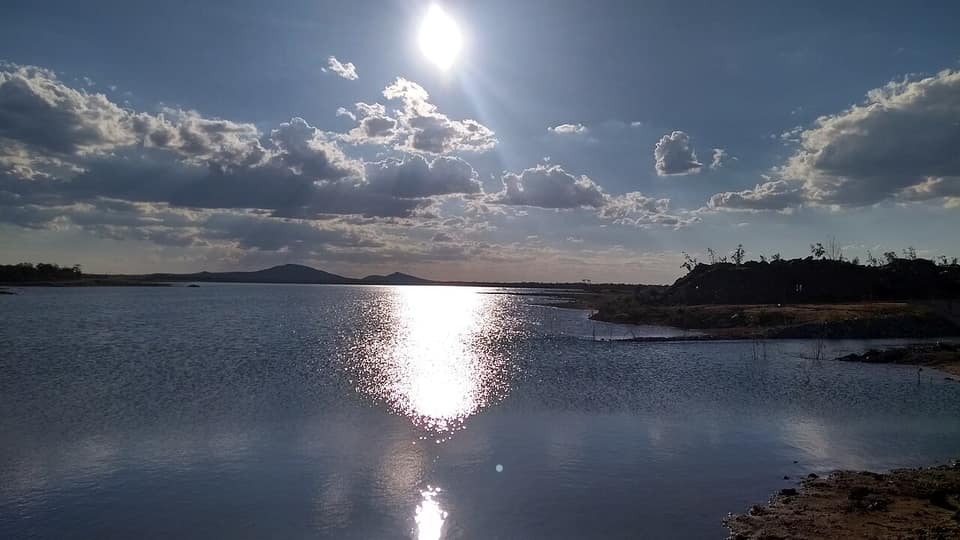 Vista de Floresta